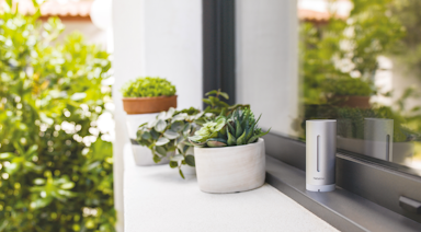 Netatmo Slimme Binnenmodule