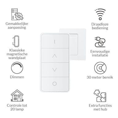 AduroSmart Smart Light + Dimming Remote - Flame