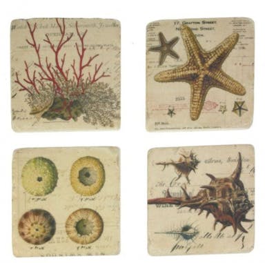 Coasters - Set of 4 - Shells/Coral - 10 x 10 x 1 cm - Polystone/Cork