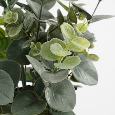 Mica Decorations Eucalyptus Artificial Plant in Pot - H53 x Ø23 cm - Green