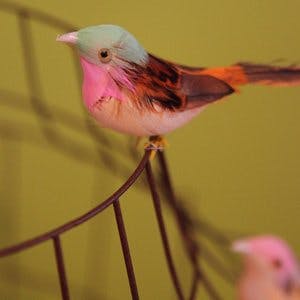 birdcage pendant lamp turquoise