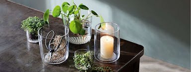 L.S.A. Market Tealight Holder/Vase/Planter H8 cm Clear - Transparent / Glass