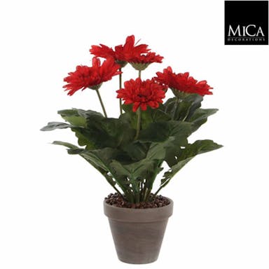 Mica Decorations gerbera maat in cm: 35 x 30 rood in pot