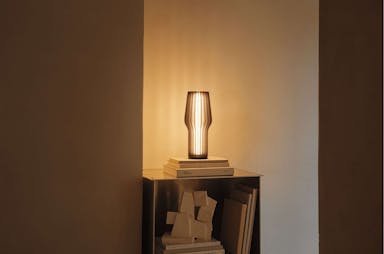 Eva Solo Light Radiant LED Lamp Smoked - Brown / Oak Wood