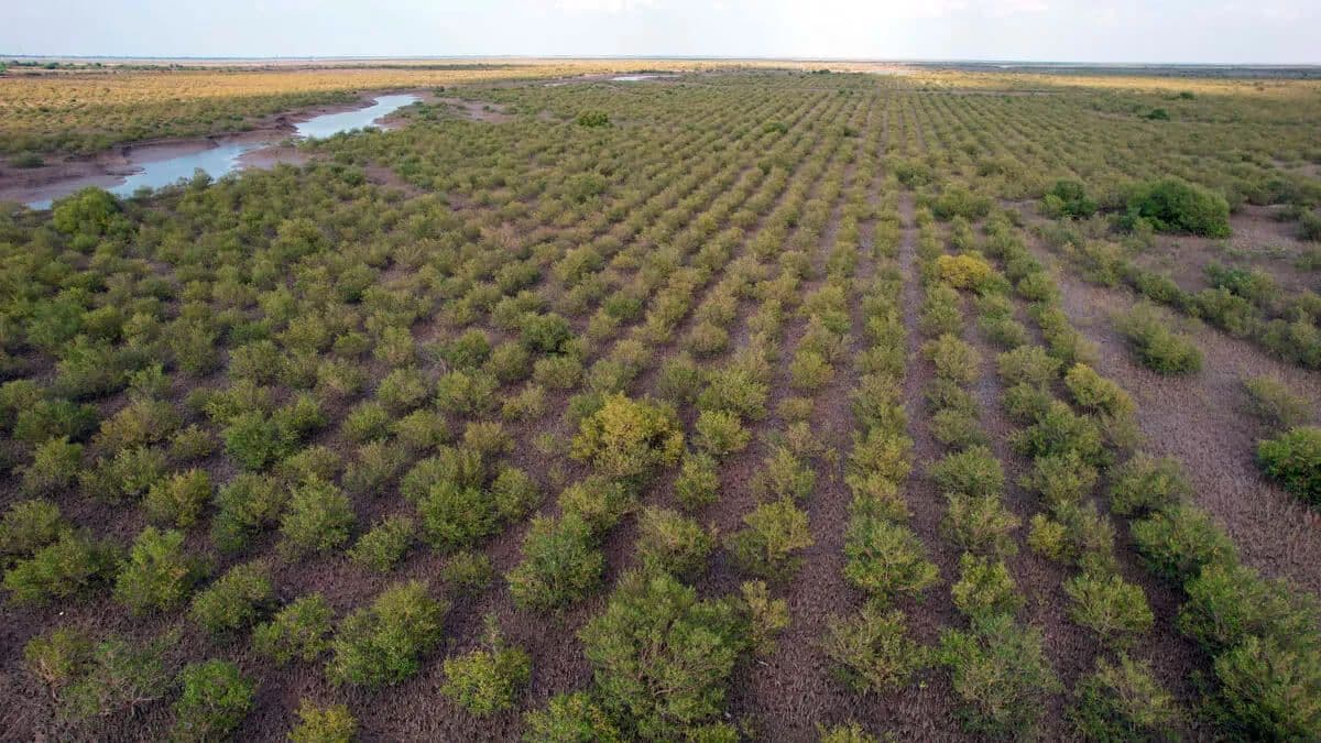 Delta Blue Project 2.jpg