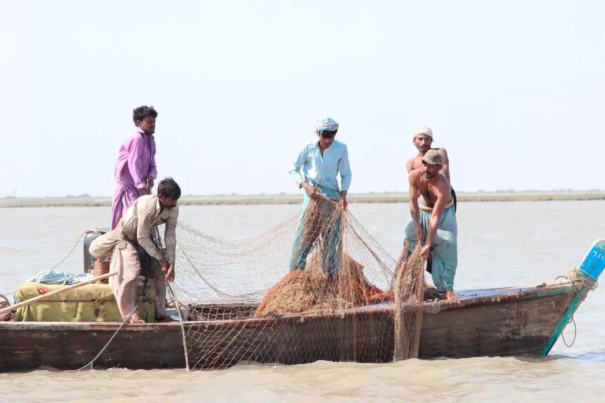 Delta Blue Project 4.jpg