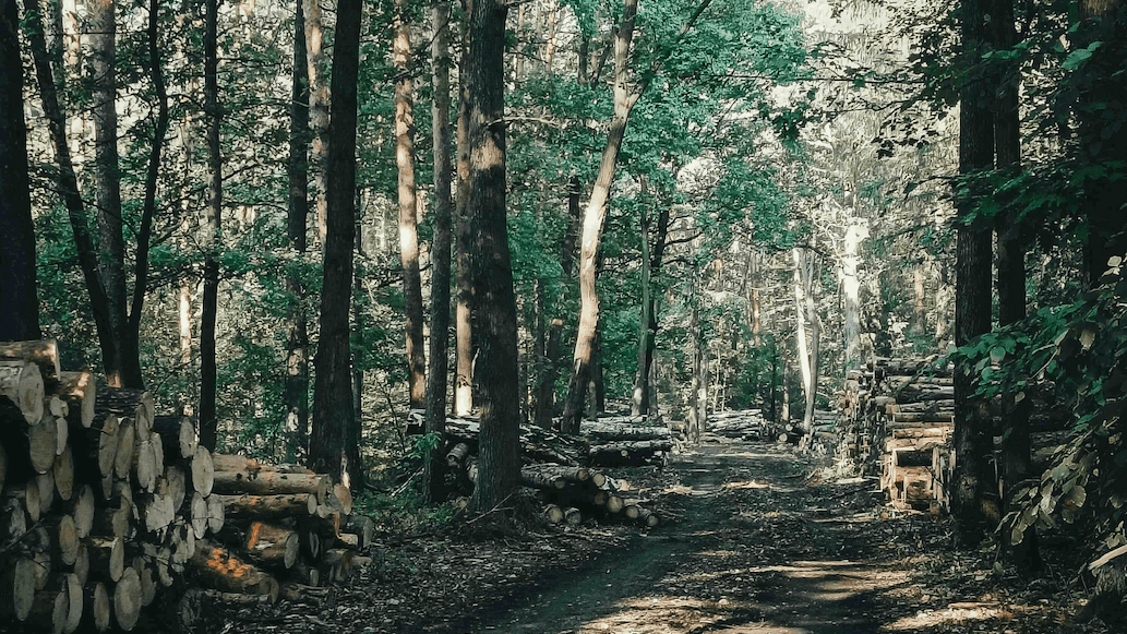 Local projects in the Netherlands