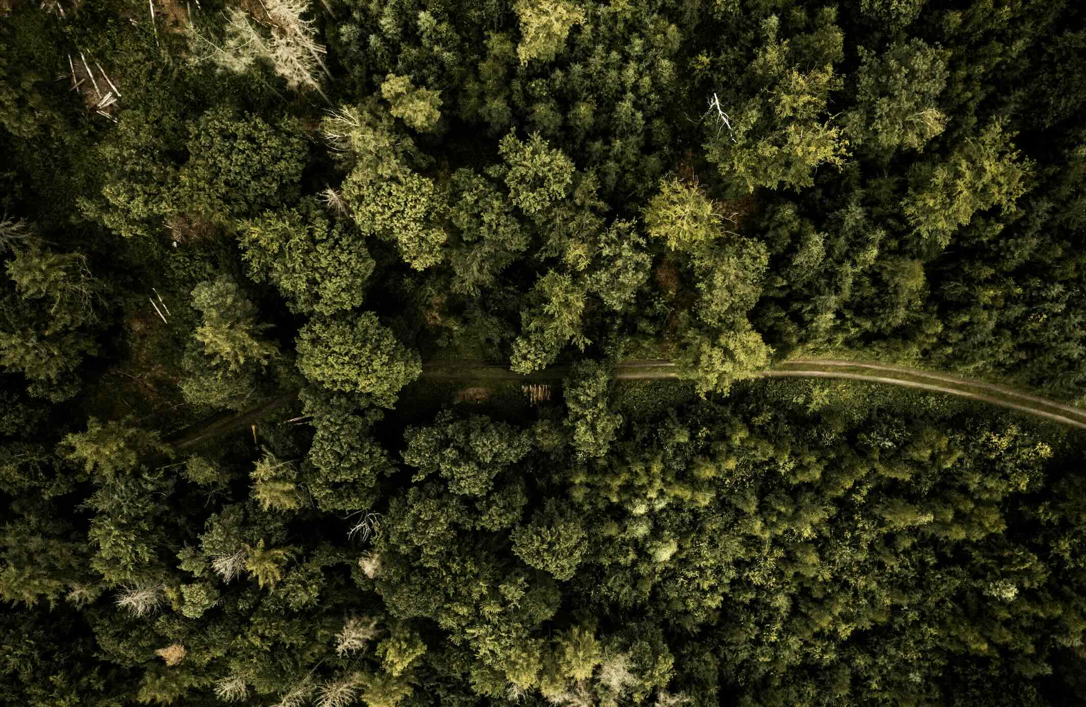 nitty gritty co2.jpg